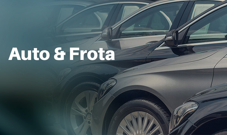 Auto Frota